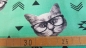 Preview: Cat with glasses