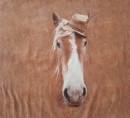 Pferd mit Hut