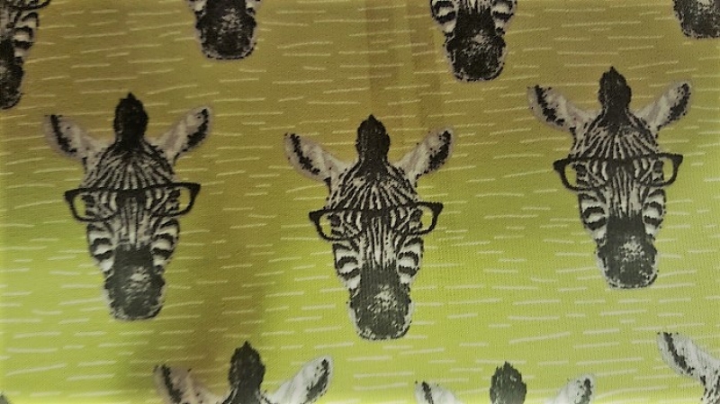 Zebra mit Brille auf grün