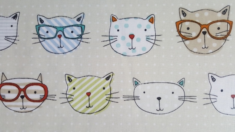 Katzen mit Brille, creme-helblau