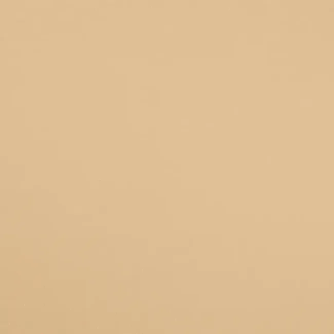 Baumwolljersey champagne uni